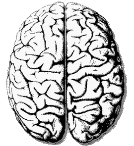 Copertina della news 14 ottobre, MILANO, Convegno scientifico “Neuro-mania. Il cervello non spiega chi siamo”